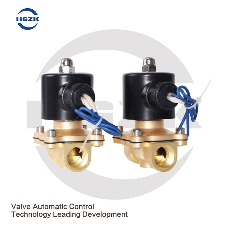 DN15DN25 Brass Solenoid Switch Valve Normally Closed 2W Water Valve Air Valve