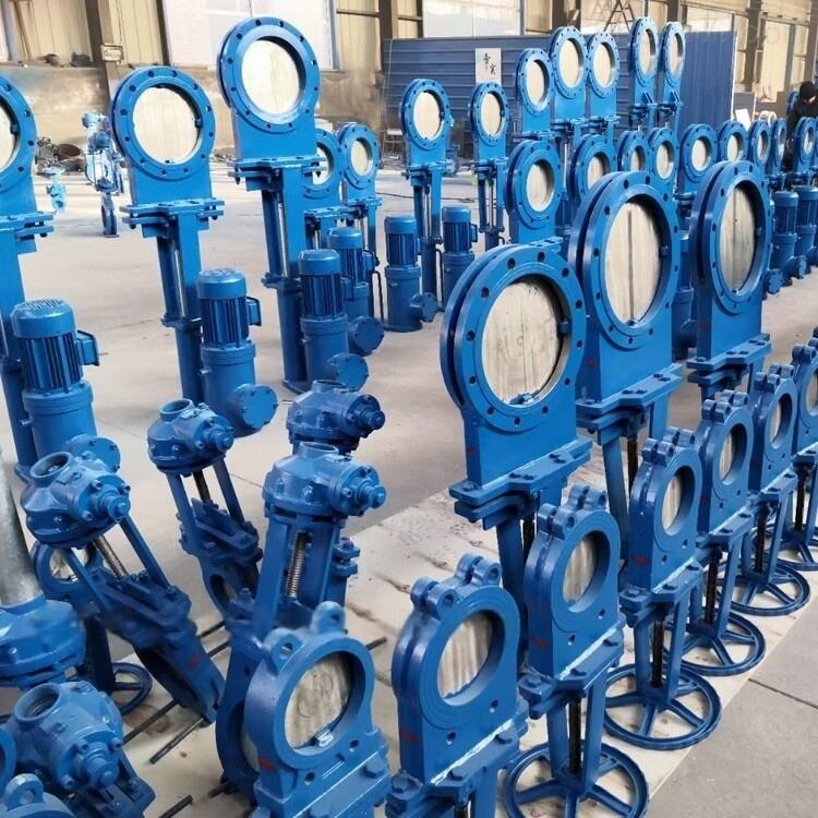 Pneumatic Gate Valve