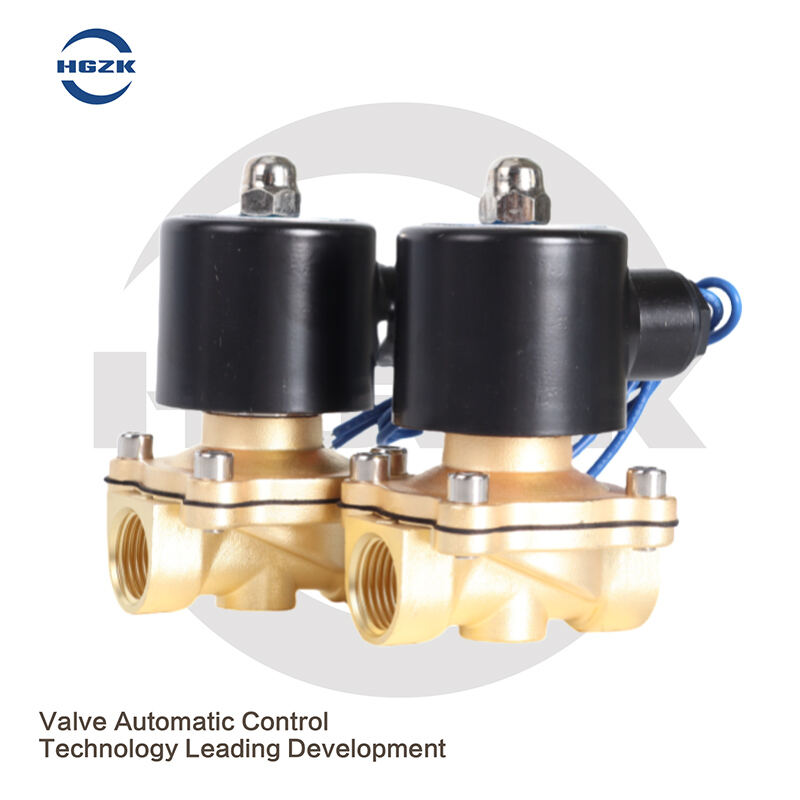 DN15DN25 Brass Solenoid Switch Valve Normally Closed 2W Water Valve Air Valve