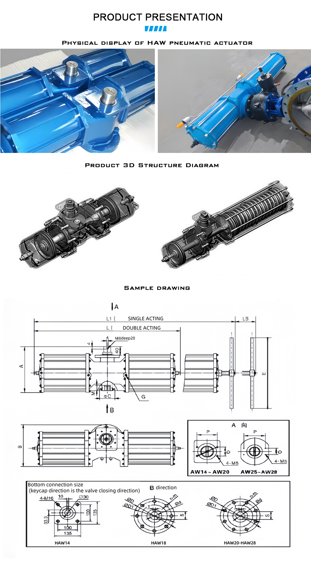 HAW Pneumatic Actuator
