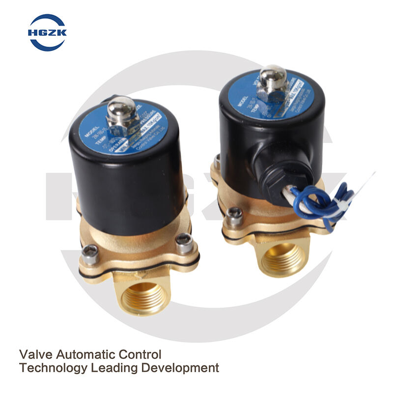 DN15DN25 Brass Solenoid Switch Valve Normally Closed 2W Water Valve Air Valve