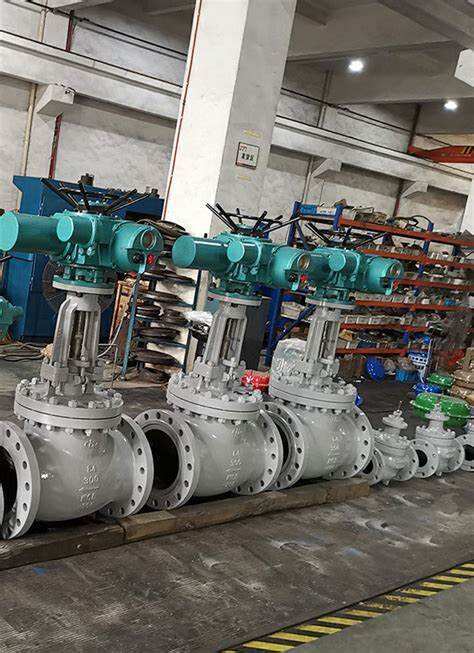 Hydrogen Dedicated Control Valve