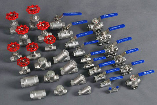 Z15W-16P Stainless Steel Threaded Gate Valve
