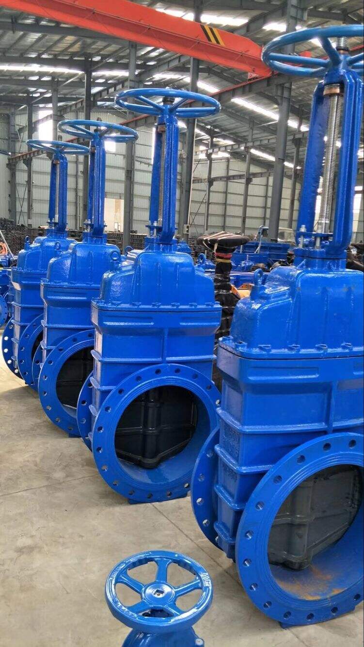 Z41X-16Q Cast Iron Rising Stem Gate Valve