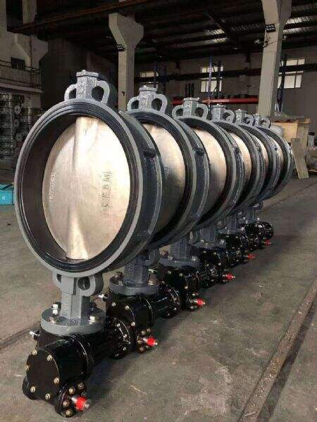 Marine Butterfly Valve