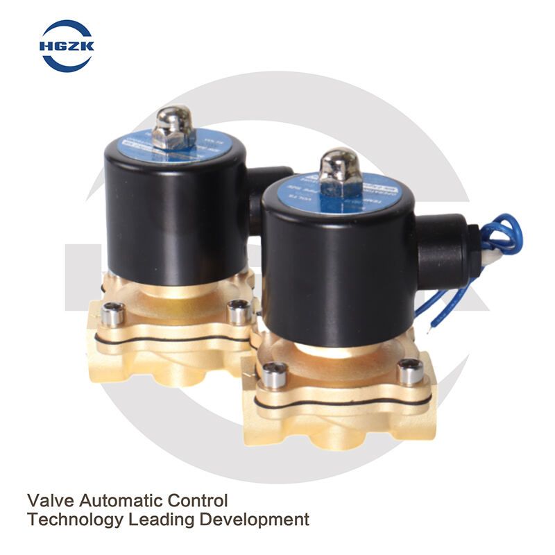 DN15DN25 Brass Solenoid Switch Valve Normally Closed 2W Water Valve Air Valve